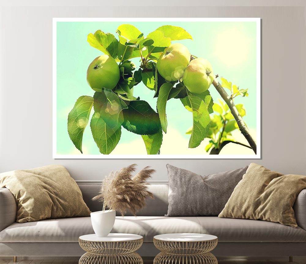 Apple Tree Print Poster Wall Art