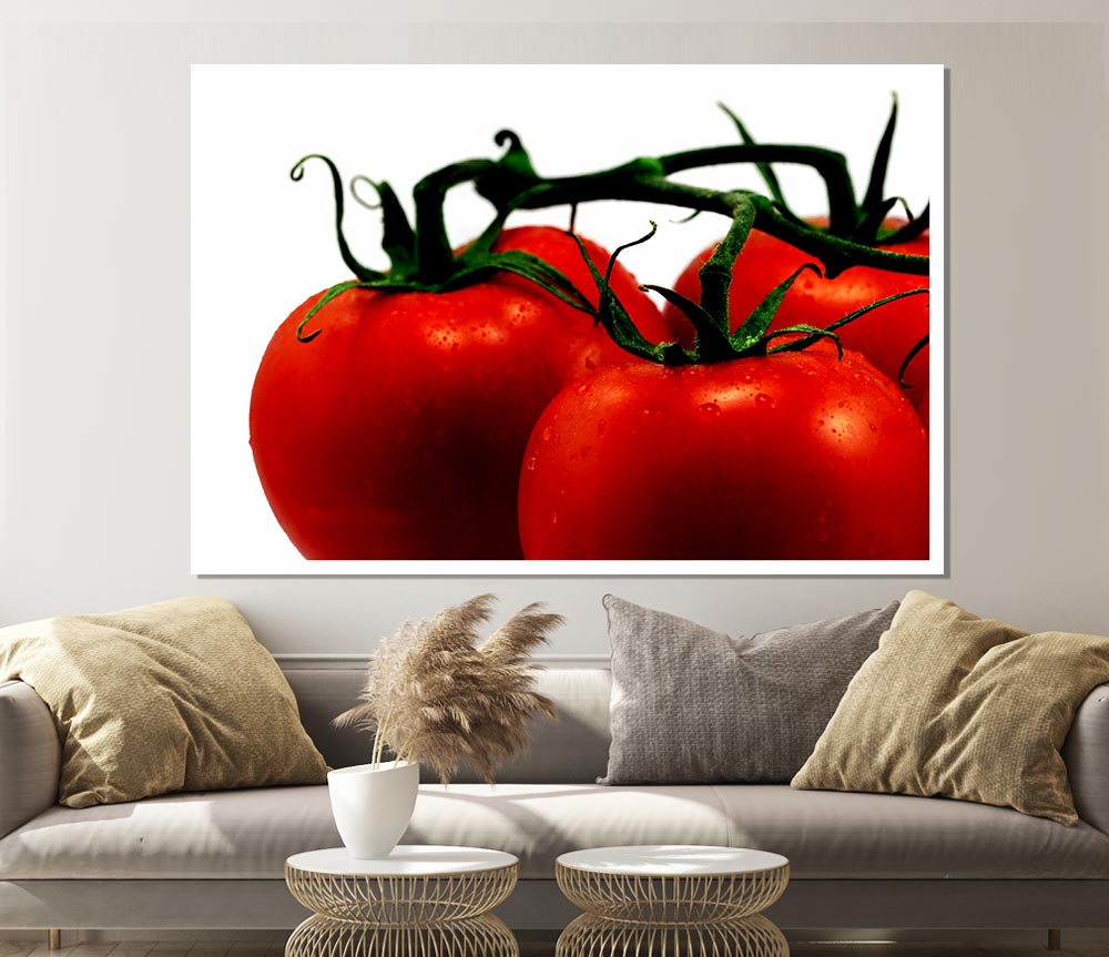 Tomato Trio Print Poster Wall Art