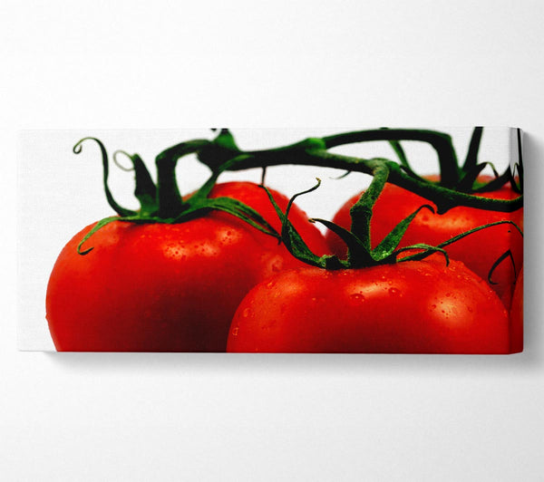 Tomaten-Trio