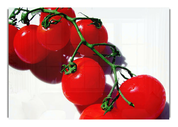 Red Cherry Tomato Vine