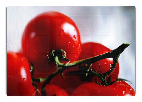 Kirschtomatenrebe