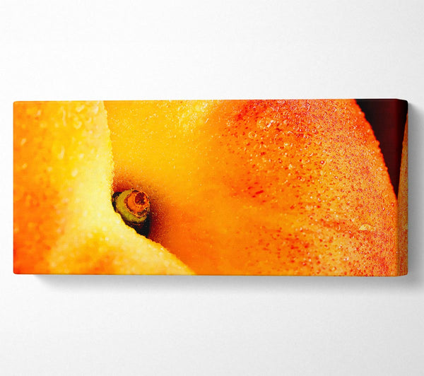 Peach Close-Up