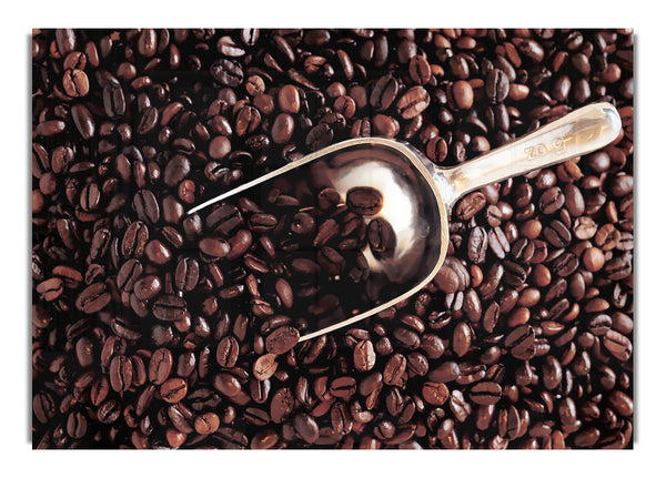 Kaffeebohnenlöffel