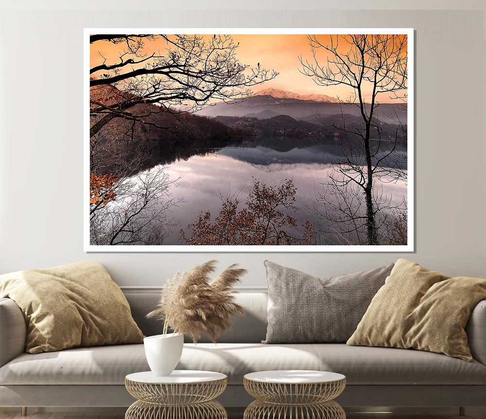 Bare Forest In Autumn Print Poster Wall Art