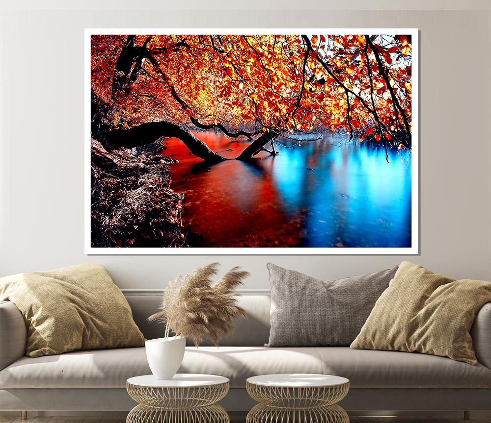 Tree Branches Over The Lake Print Poster Wall Art