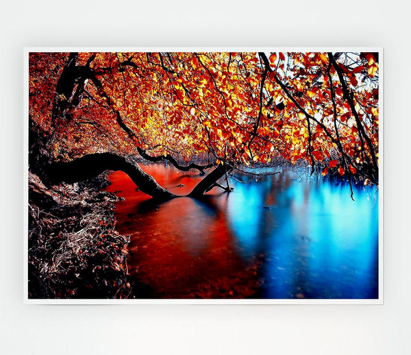 Tree Branches Over The Lake Print Poster Wall Art
