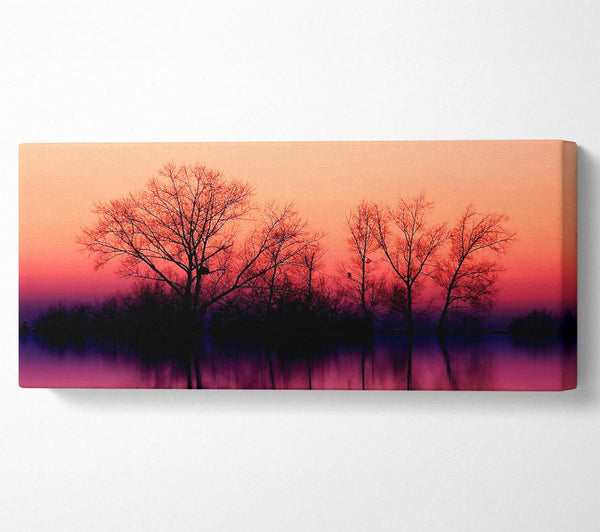 Bäume in der Abenddämmerung