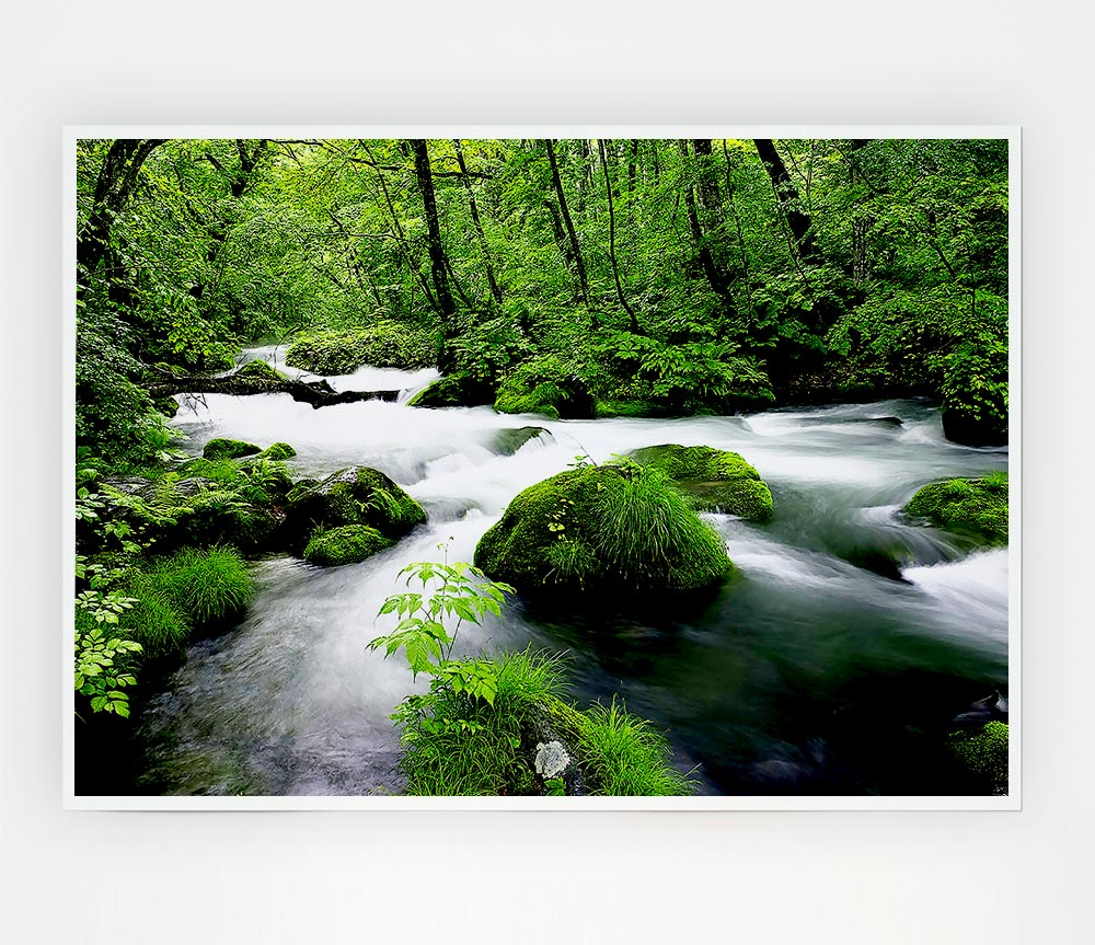 Green Forest Stream Print Poster Wall Art