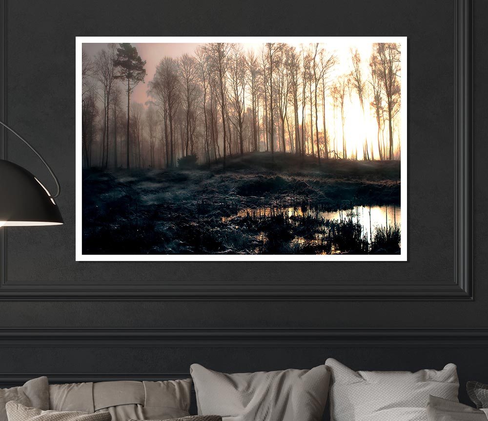 Early Morning Swamp Print Poster Wall Art