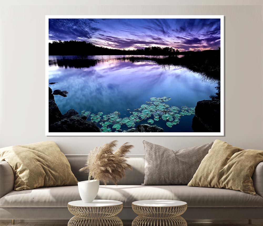 Calm Dusk Water Lily Pads Print Poster Wall Art