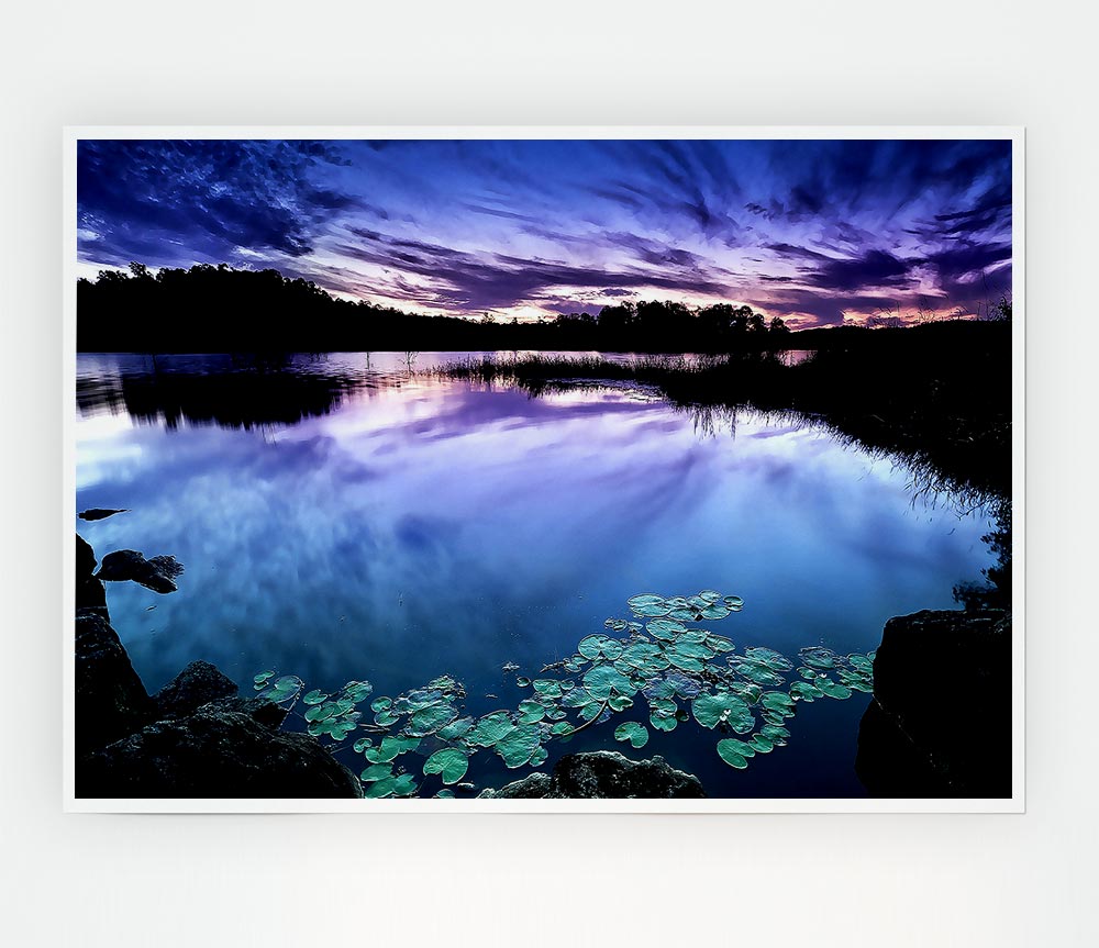 Calm Dusk Water Lily Pads Print Poster Wall Art