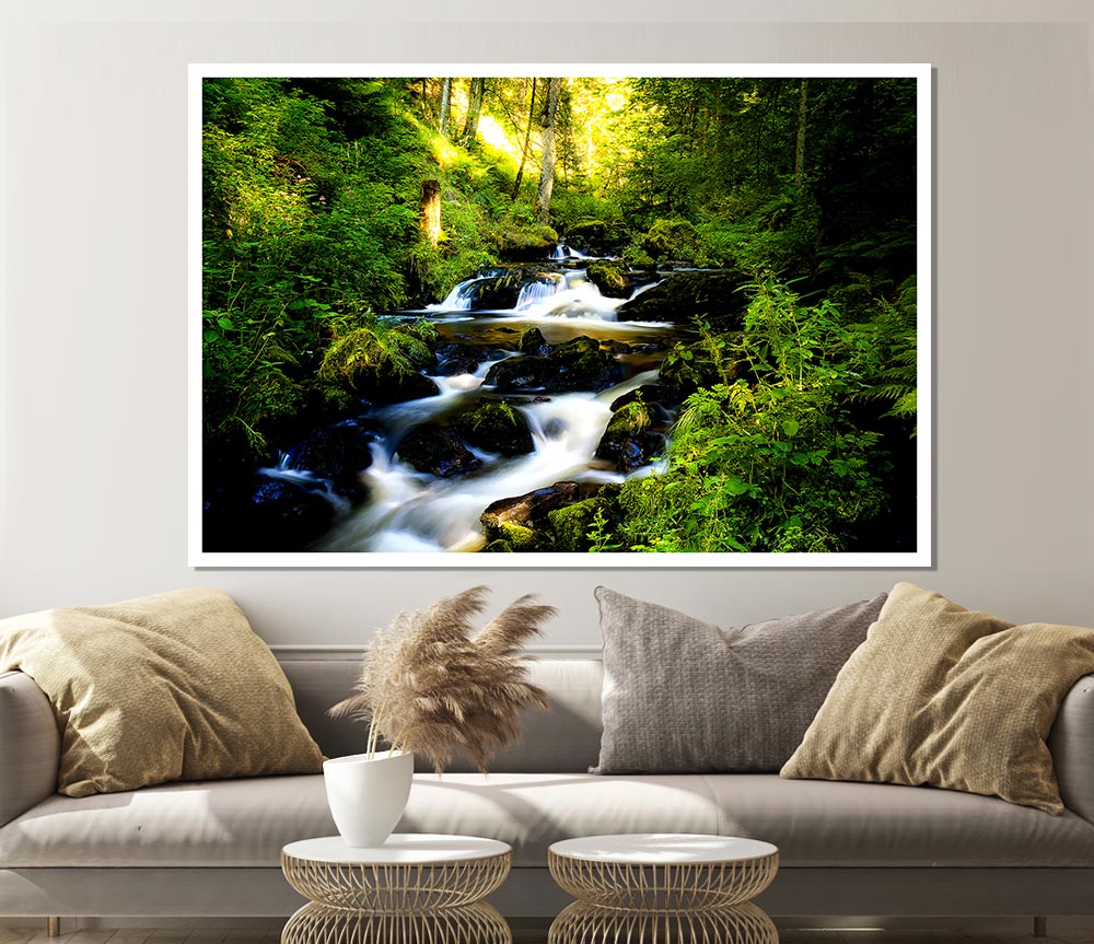 Black Forest In Germany Print Poster Wall Art