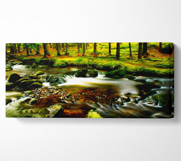 Der Strom im Fluss