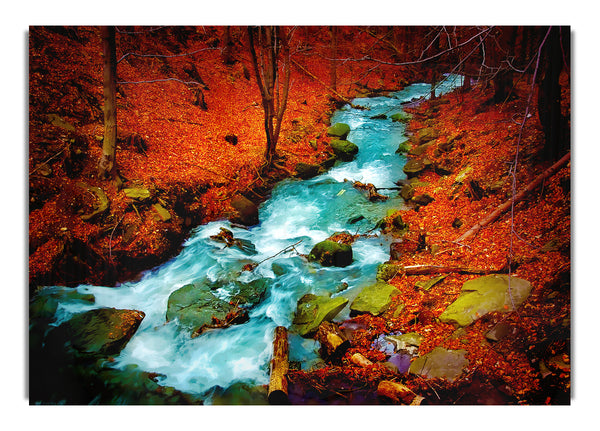 Red Autumn Stream