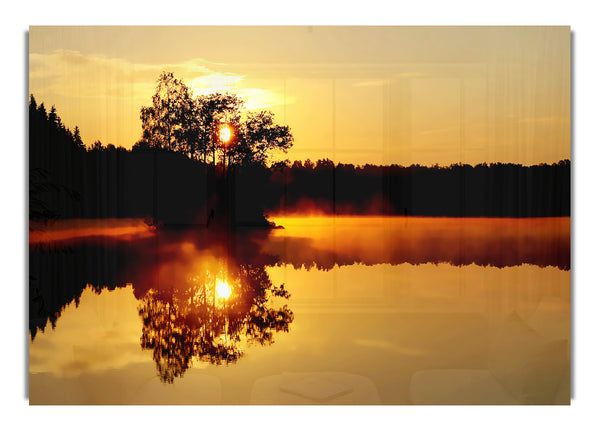 Reflections Of The Sunset Tree