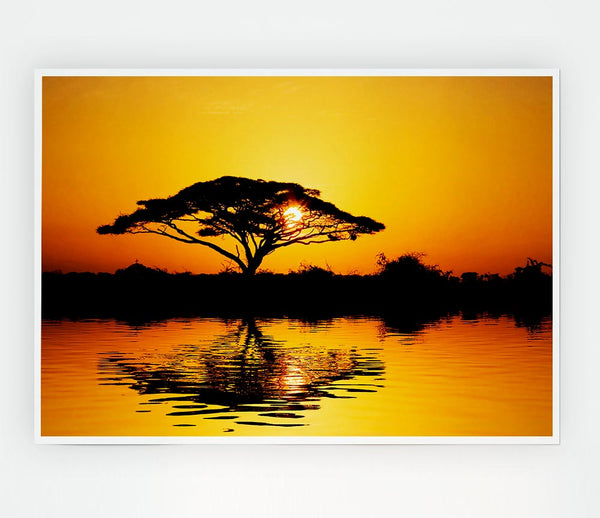Tree Of Reflections Print Poster Wall Art
