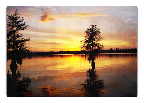 River Tree Sunset