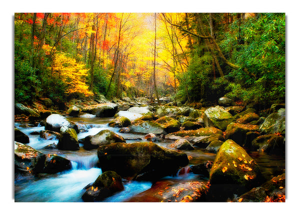 Autumn Stream