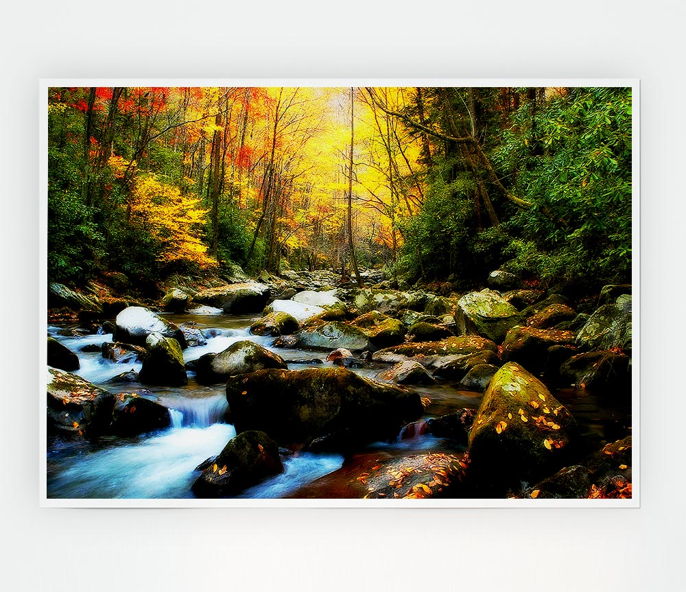 Autumn Stream Print Poster Wall Art