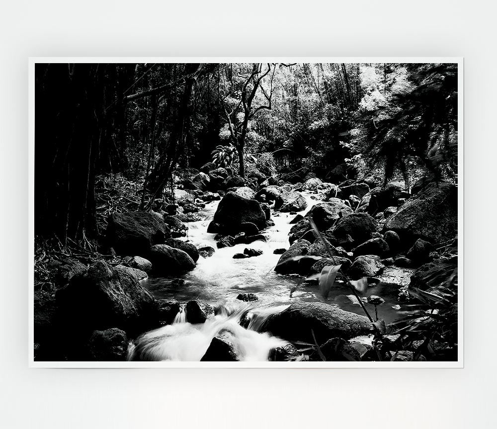 The Stream In The Woodland B N W Print Poster Wall Art