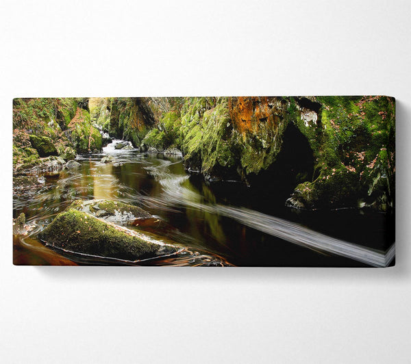 Waldbach fließt