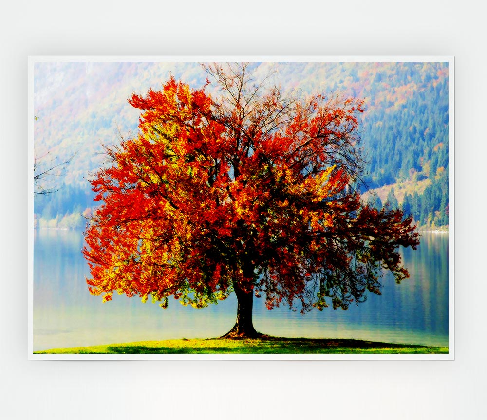 The Old Winter Tree In Autumn Print Poster Wall Art
