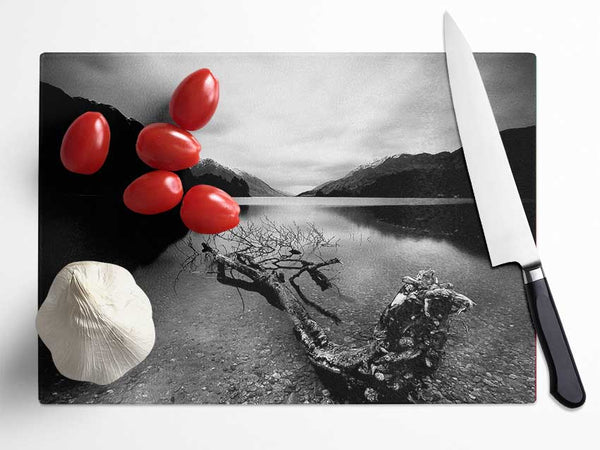 Tree In The Lake B n W Glass Chopping Board