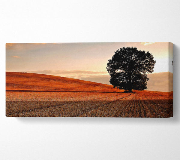 Einsamer Baum im Feld Herbst
