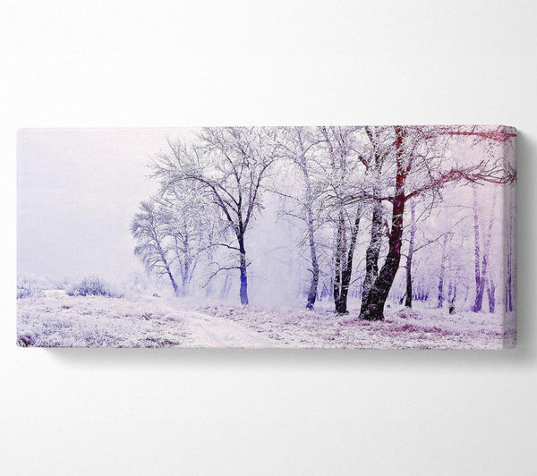 Schöner verschneiter Wald