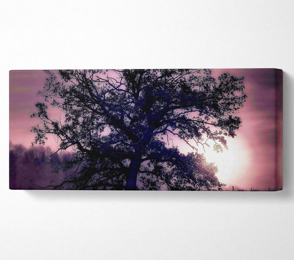 Baum unter Vollmond