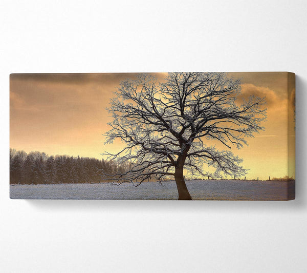 Einsamer Baum im Winter