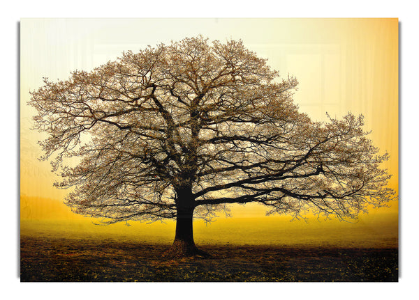Beautiful Tree 3
