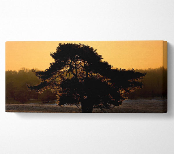 Atemberaubender alter Baum in der Abenddämmerung