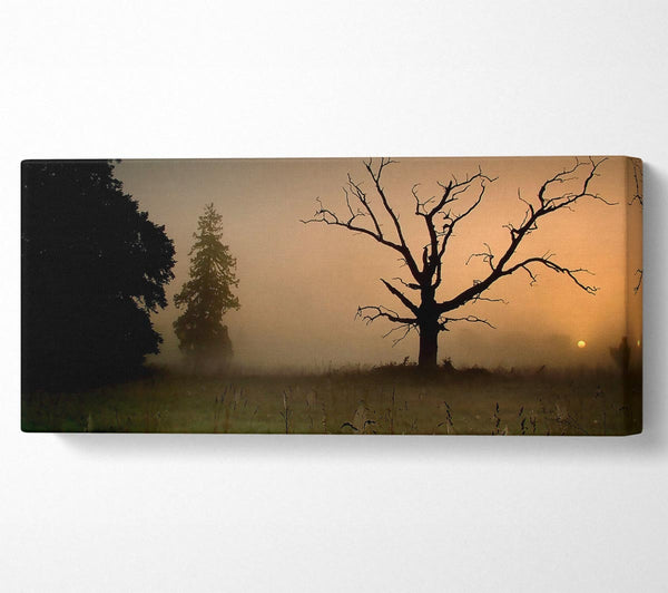 Winterbaum im Nebel