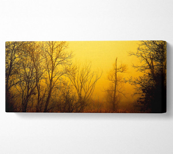 Atemberaubendes goldenes Licht im Winterwald