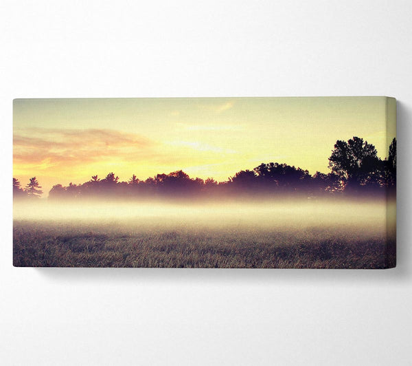 Morgennebel