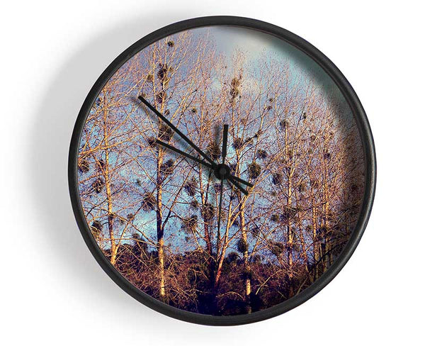 Bird Trees Clock - Wallart-Direct UK