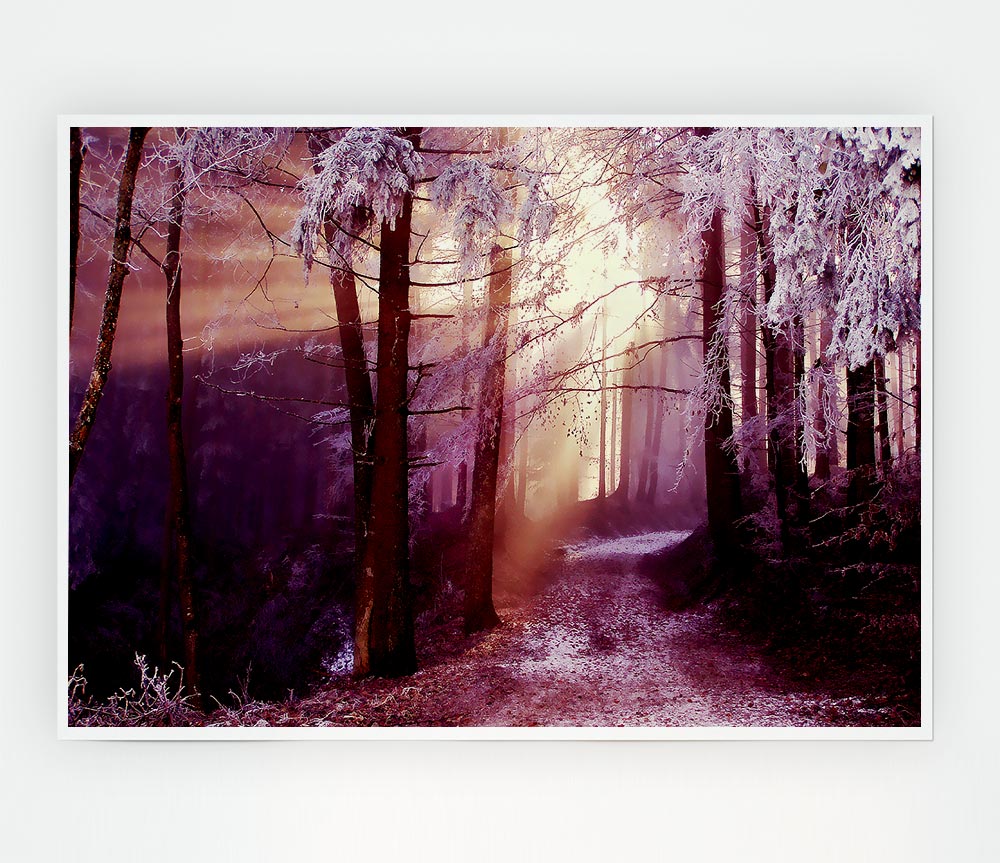 Winter Woodland Sunbeam Print Poster Wall Art