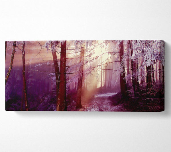 Winter Wald Sonnenstrahl