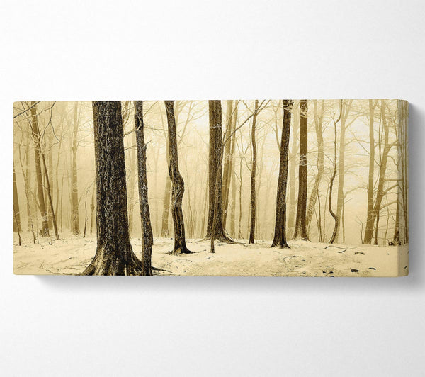 Winter Wald Schnee