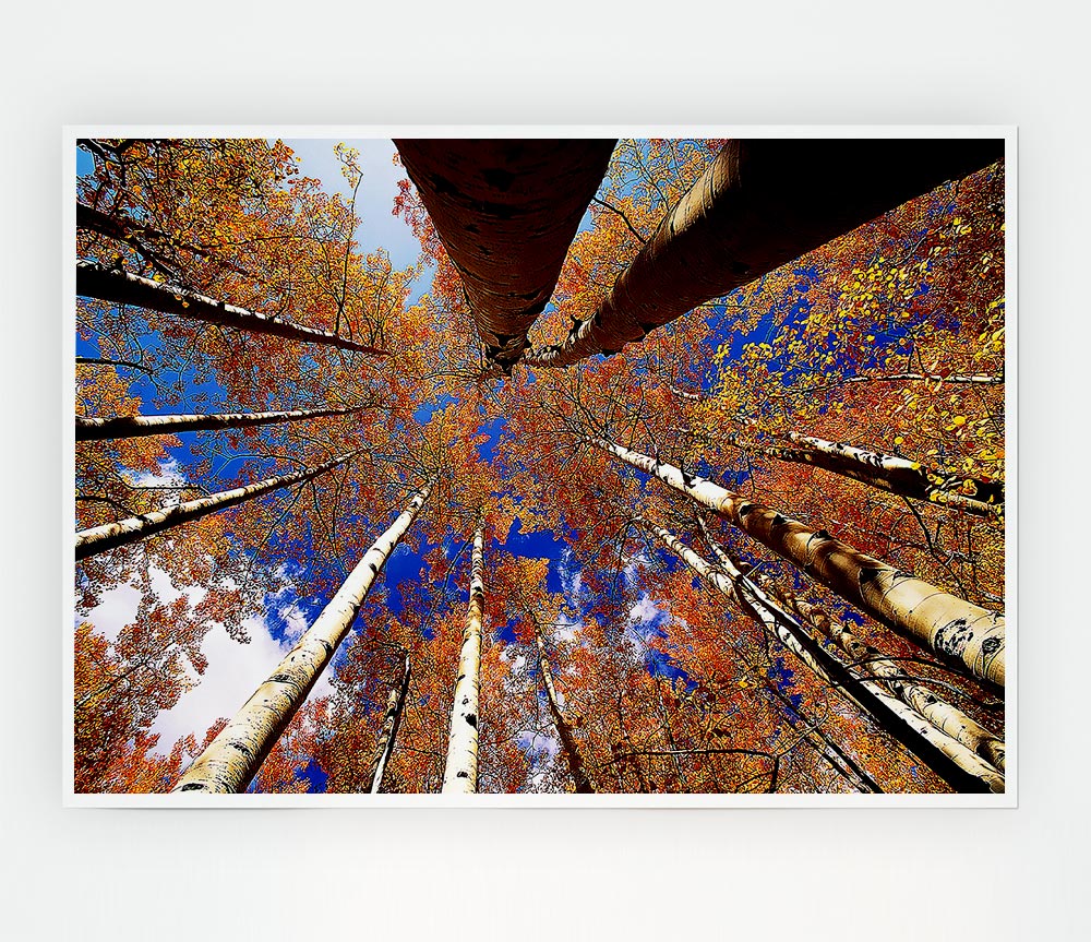 Above The Trees Print Poster Wall Art