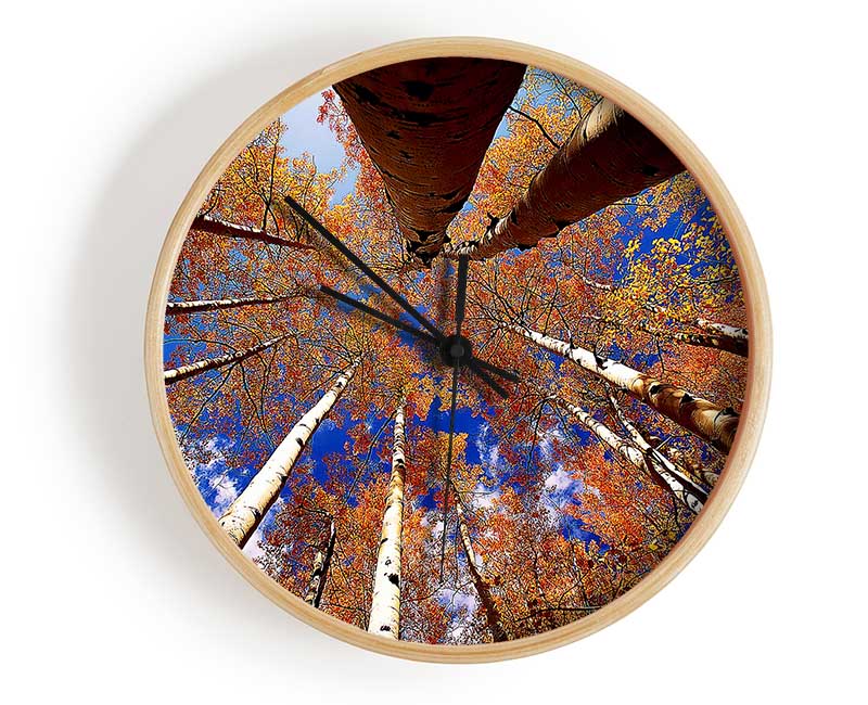 Above The Trees Clock - Wallart-Direct UK