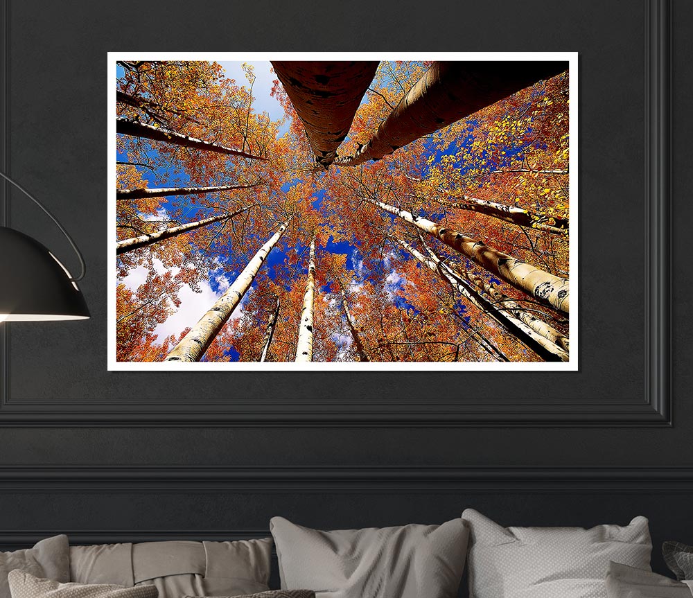 Above The Trees Print Poster Wall Art