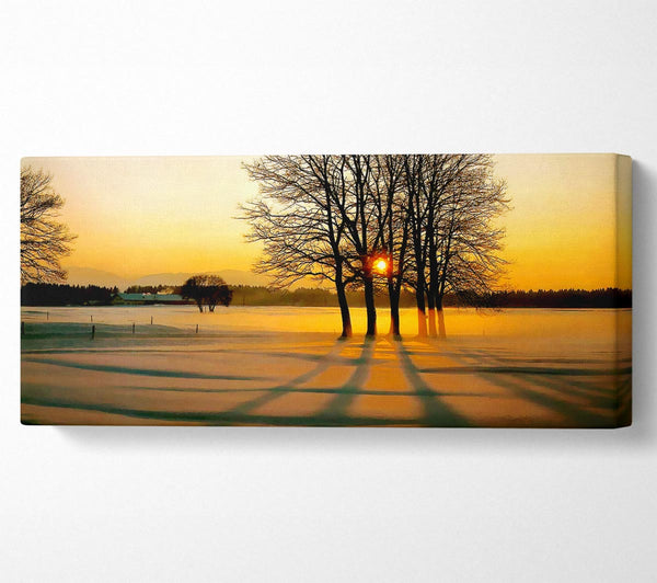 Winter Baum Sonnenaufgang Golden