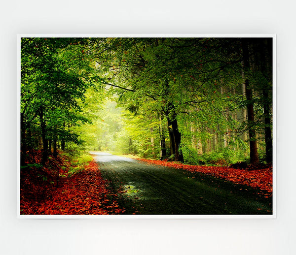 The Woodland Road Print Poster Wall Art