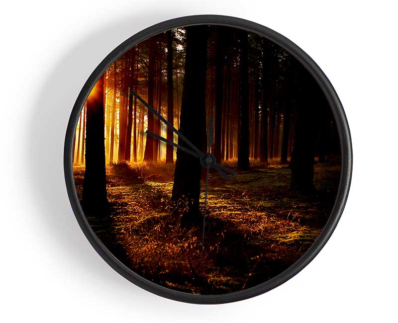 Woodland Sun Blaze Clock - Wallart-Direct UK