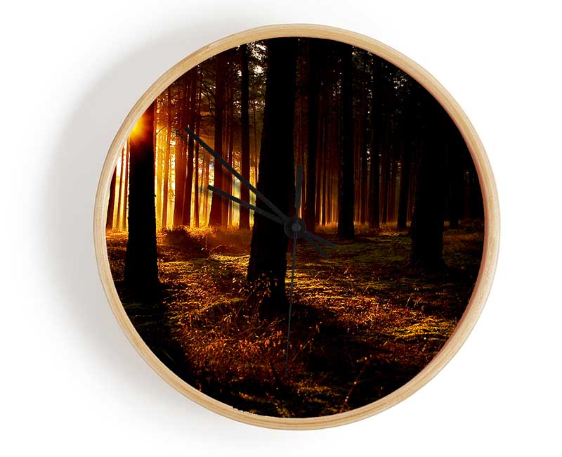 Woodland Sun Blaze Clock - Wallart-Direct UK