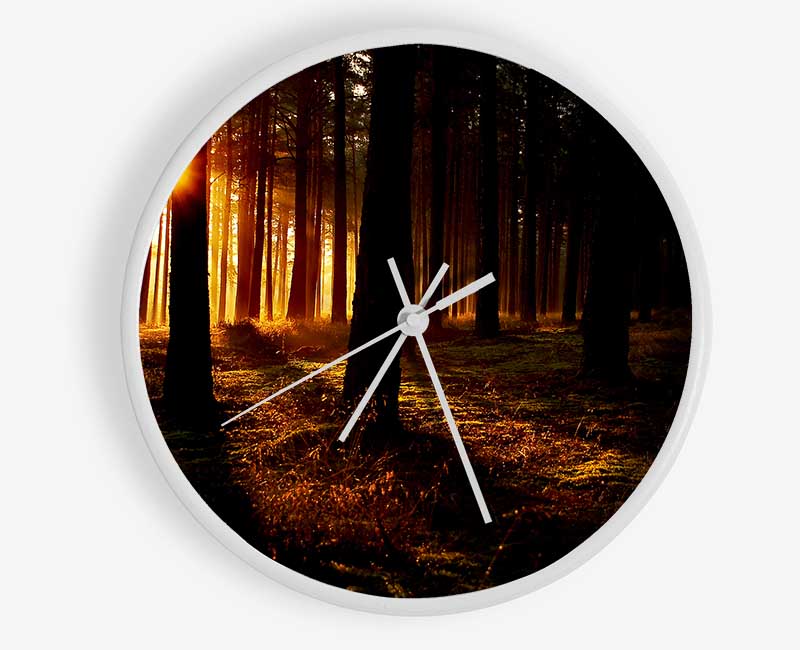 Woodland Sun Blaze Clock - Wallart-Direct UK