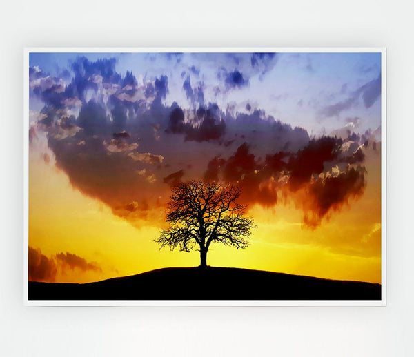 Tree In The Morning Light Print Poster Wall Art