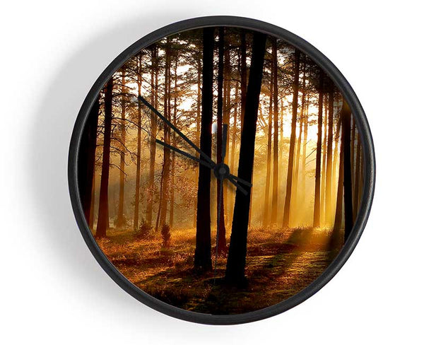 Morning Woodland Sun Mist Clock - Wallart-Direct UK